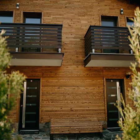 Cabana Berner Statiunea Mogosa Baia-Sprie Exteriér fotografie