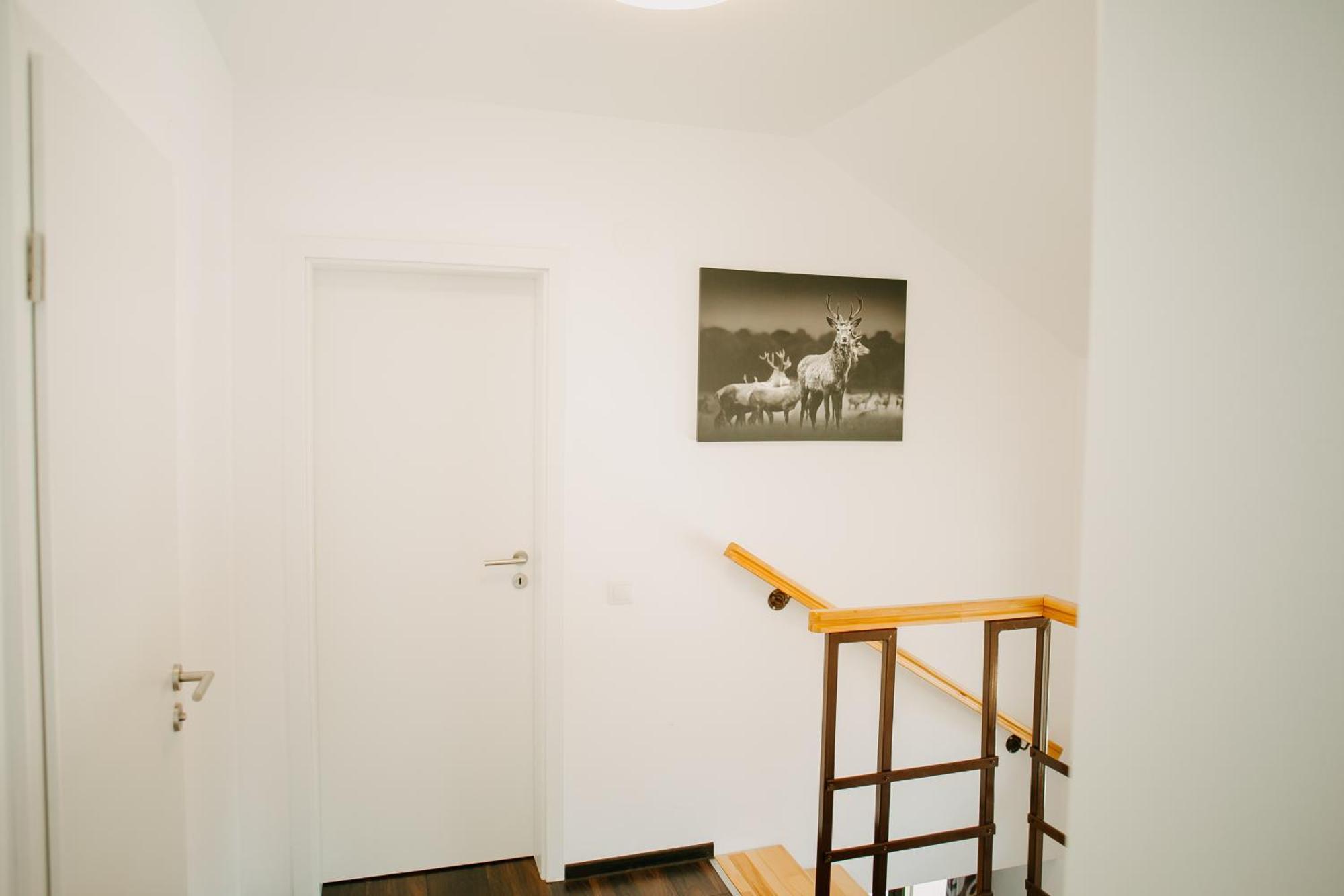 Cabana Berner Statiunea Mogosa Baia-Sprie Exteriér fotografie