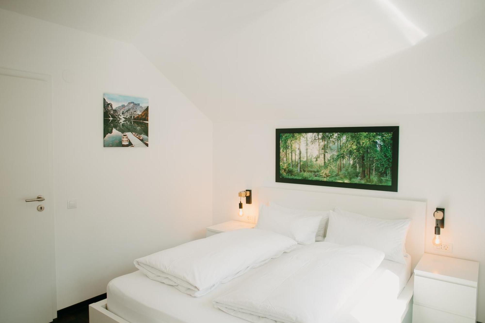 Cabana Berner Statiunea Mogosa Baia-Sprie Exteriér fotografie