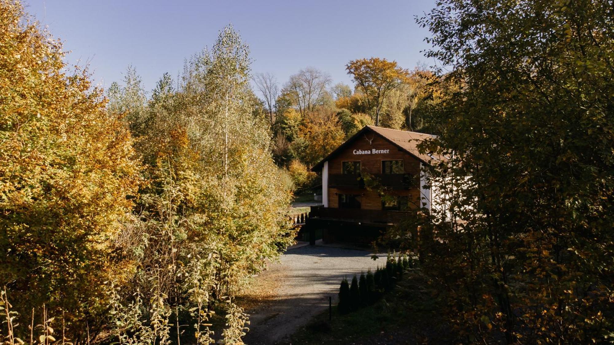 Cabana Berner Statiunea Mogosa Baia-Sprie Exteriér fotografie
